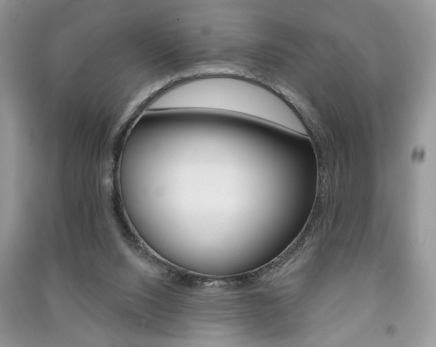 X0000091170064200708091033