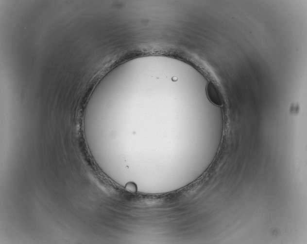 X0000091170065200708091033