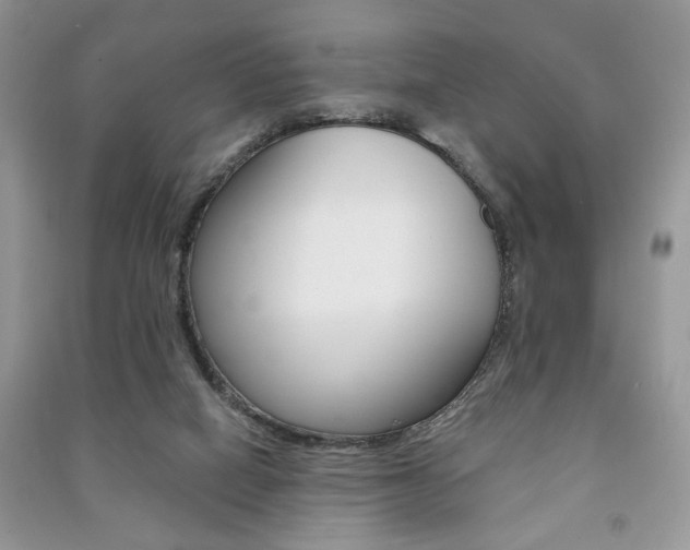 X0000091170066200708091033
