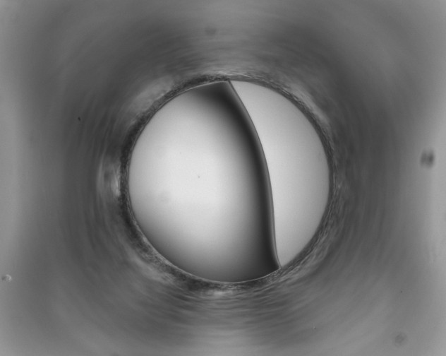 X0000091170068200708091033