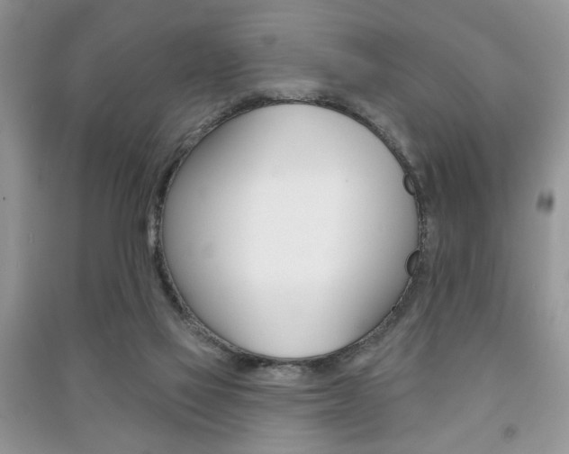 X0000091170069200708091033