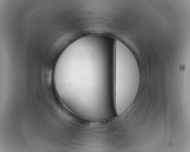 X0000091170070200708091033