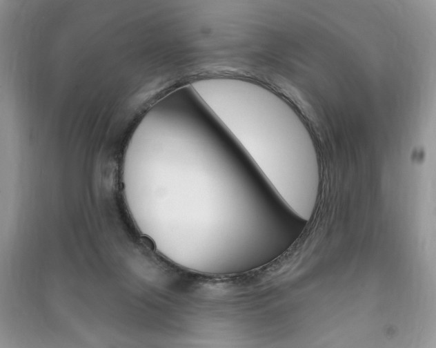 X0000091170071200708091033