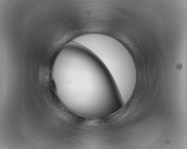 X0000091170072200708091033