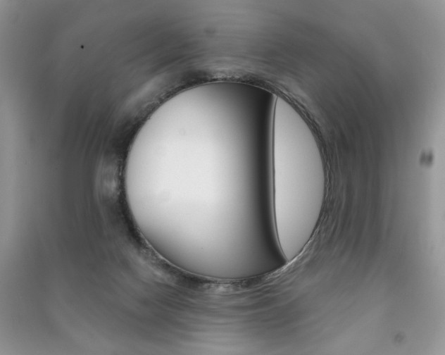 X0000091170074200708091033