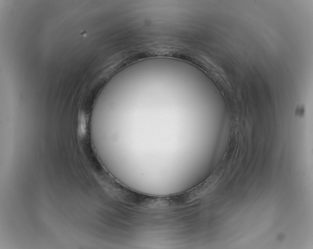 X0000091170075200708091033