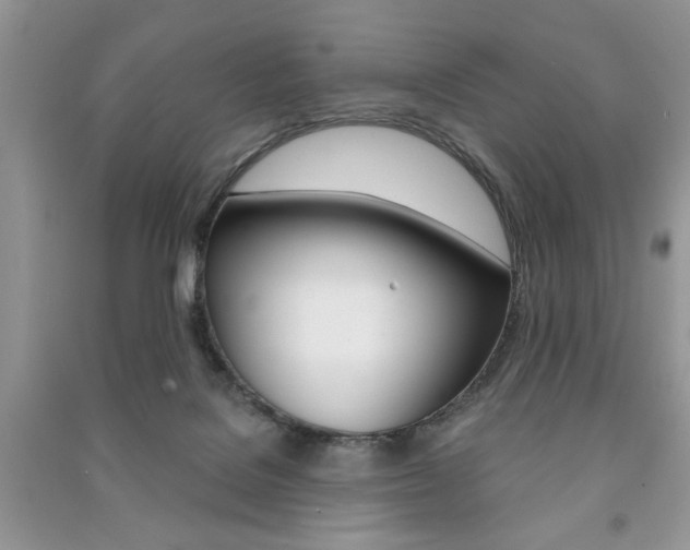 X0000091170076200708091033