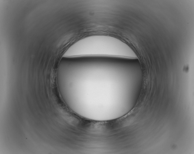 X0000091170078200708091033