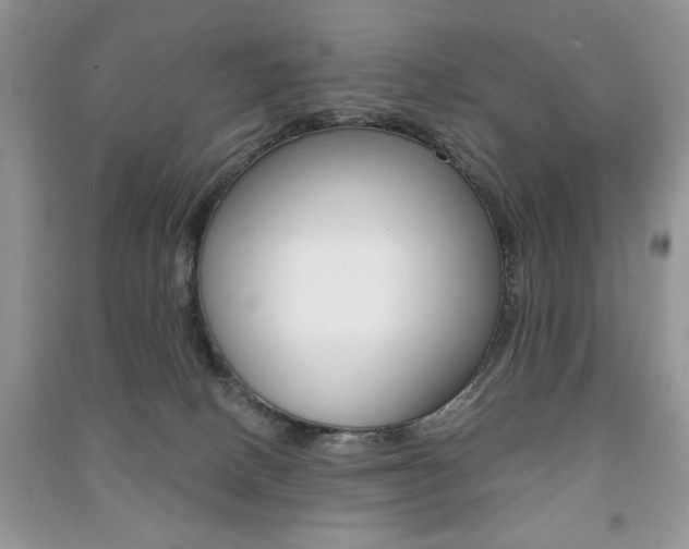 X0000091170082200708091033