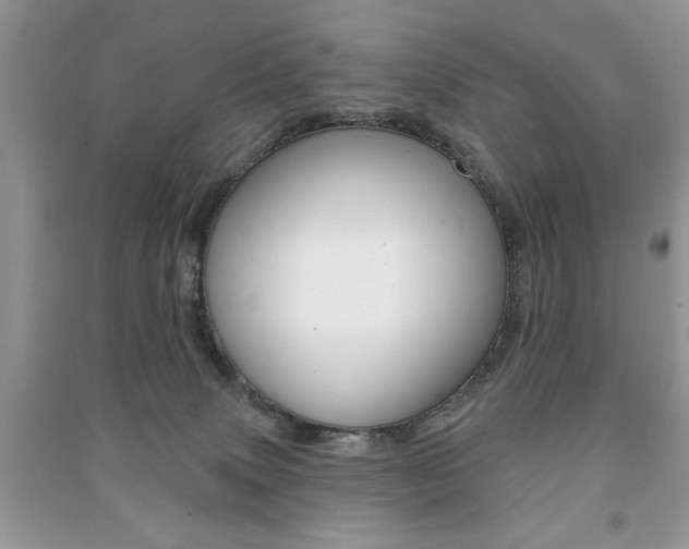 X0000091170083200708091033
