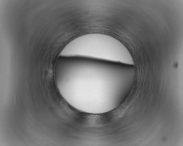 X0000091170085200708091034
