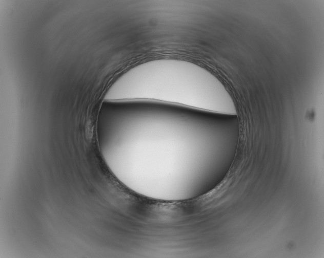 X0000091170086200708091034