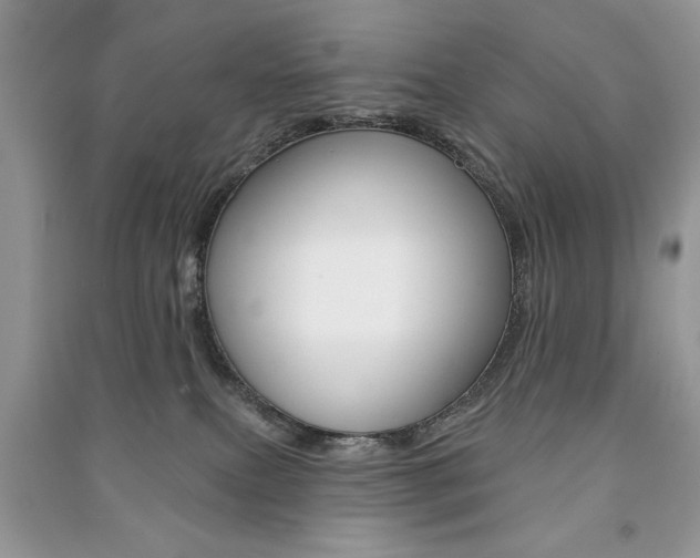X0000091170087200708091034