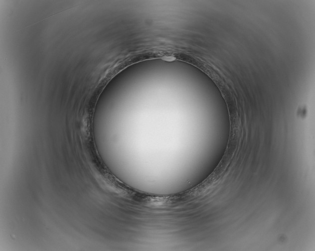 X0000091170088200708091034