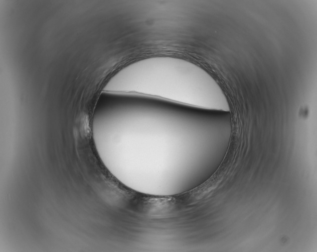 X0000091170089200708091034
