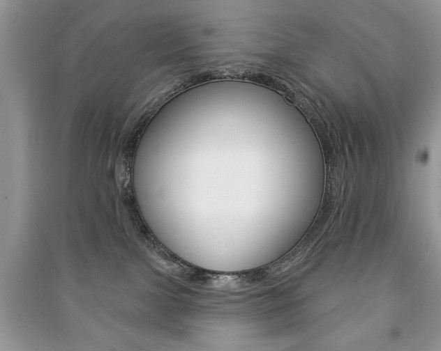 X0000091170091200708091034