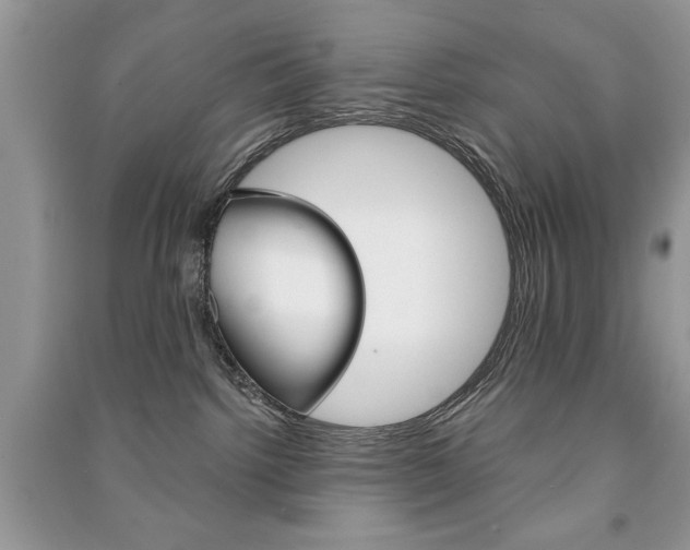 X0000091170092200708091034
