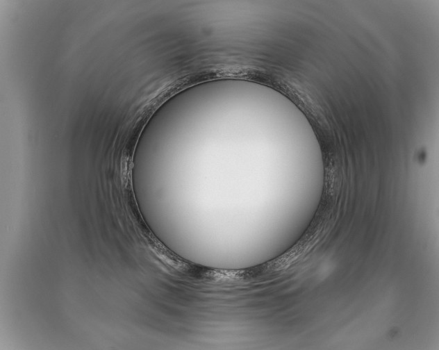 X0000091170093200708091034