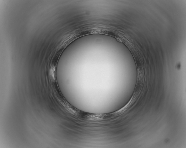 X0000091170094200708091034