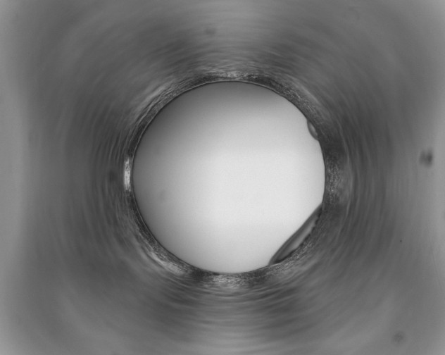 X0000091170095200708091034