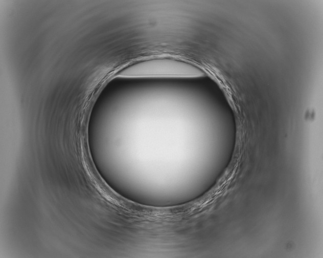 X0000091170097200708091033