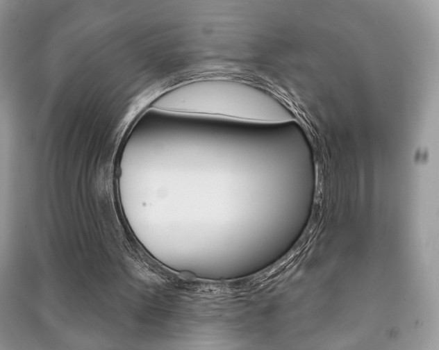 X0000091170099200708091033