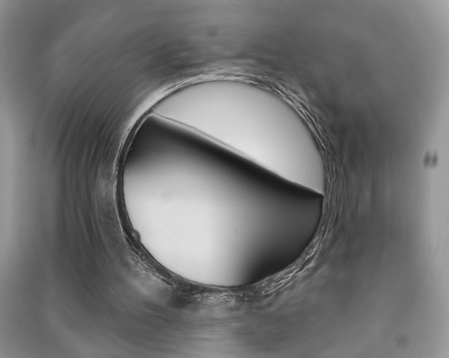 X0000091170100200708091033