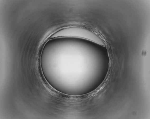 X0000091170101200708091033