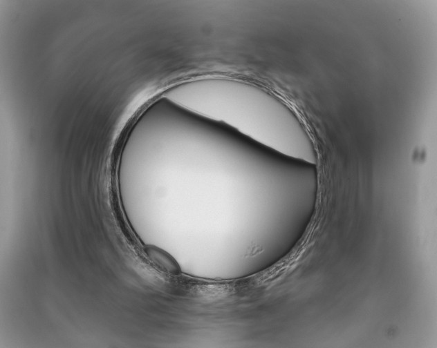 X0000091170102200708091033