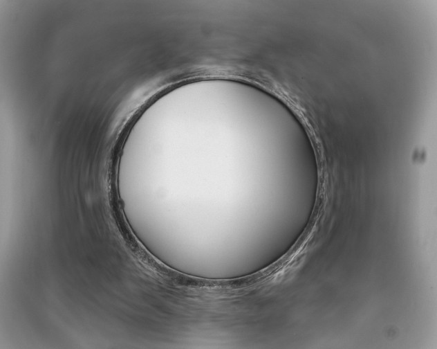 X0000091170103200708091033