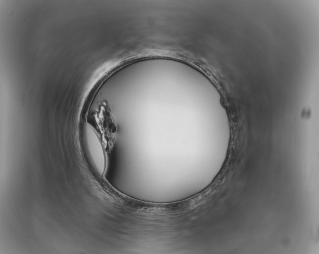 X0000091170104200708091033