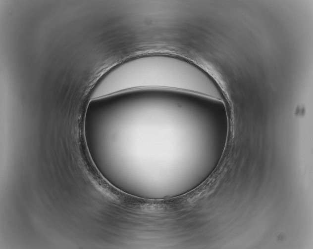 X0000091170105200708091033