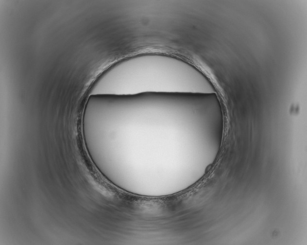 X0000091170106200708091033