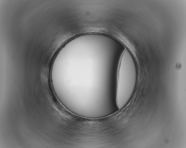X0000091170107200708091033
