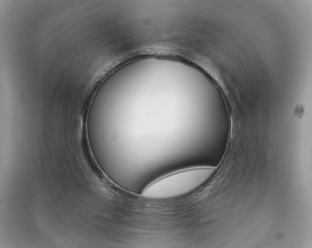 X0000091170109200708091033