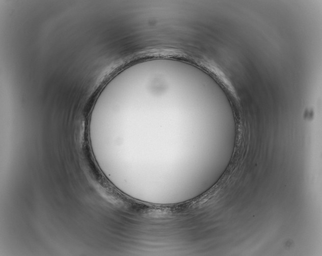 X0000091170110200708091033