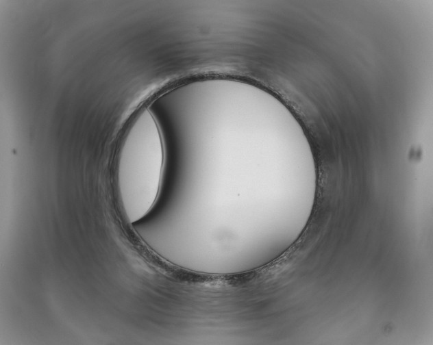 X0000091170112200708091033