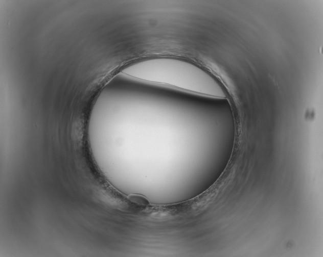 X0000091170113200708091033