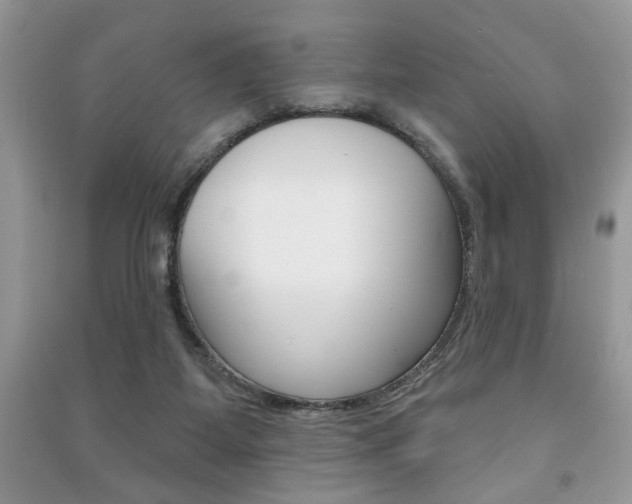 X0000091170115200708091033