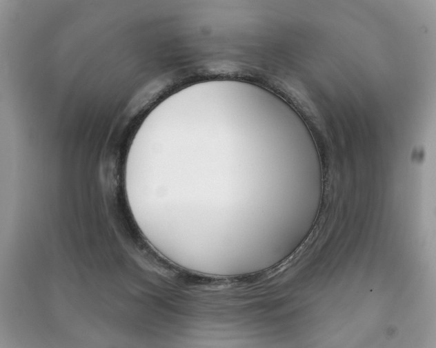 X0000091170116200708091033