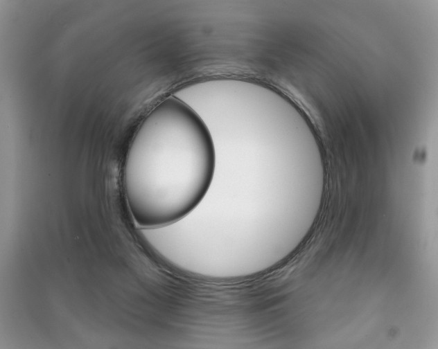 X0000091170117200708091033