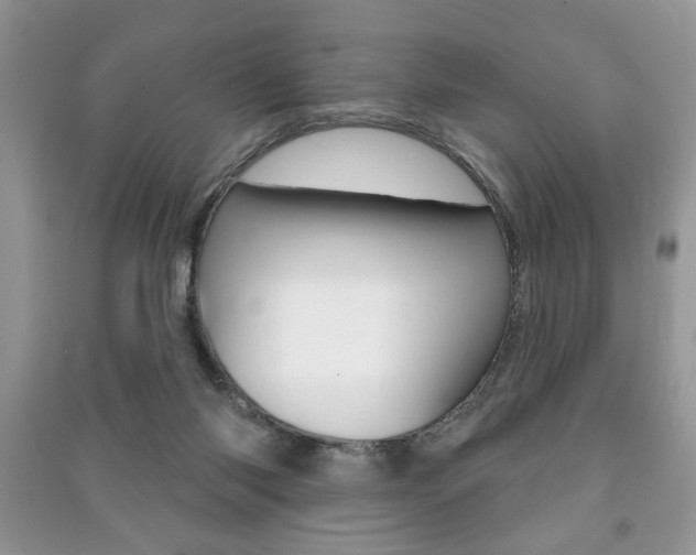 X0000091170118200708091033