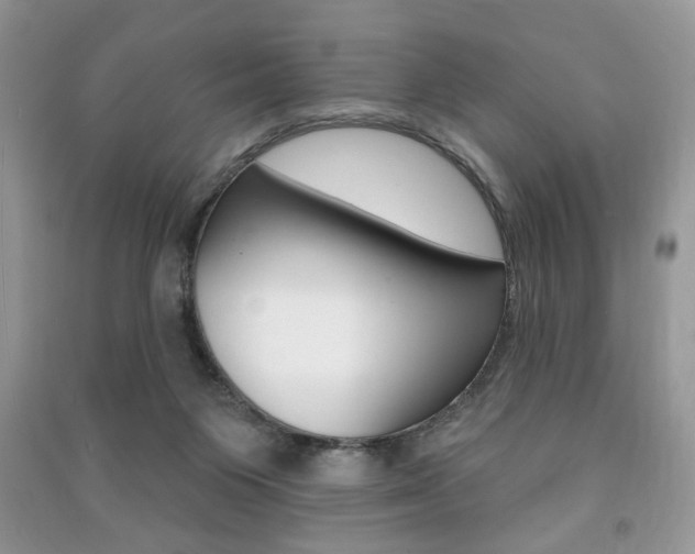 X0000091170119200708091033