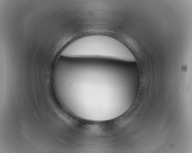 X0000091170120200708091033