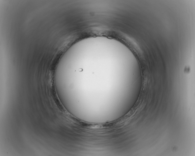 X0000091170121200708091033