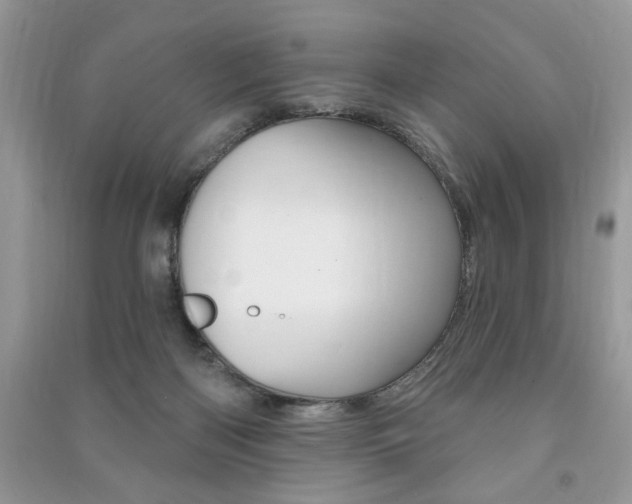X0000091170122200708091033