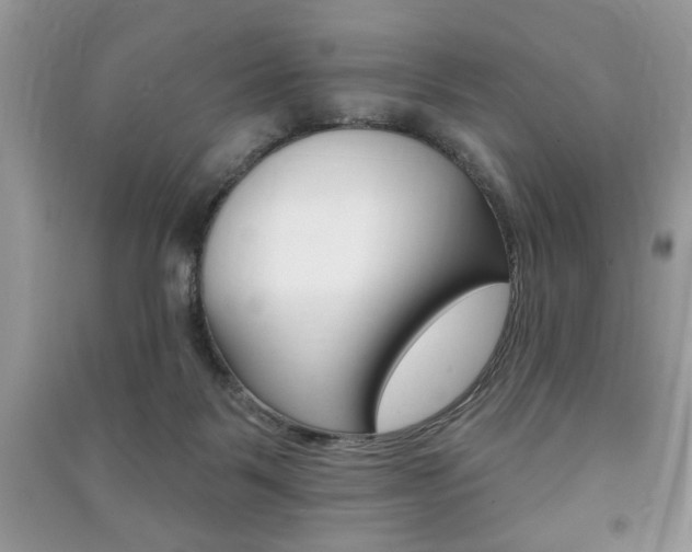 X0000091170123200708091033