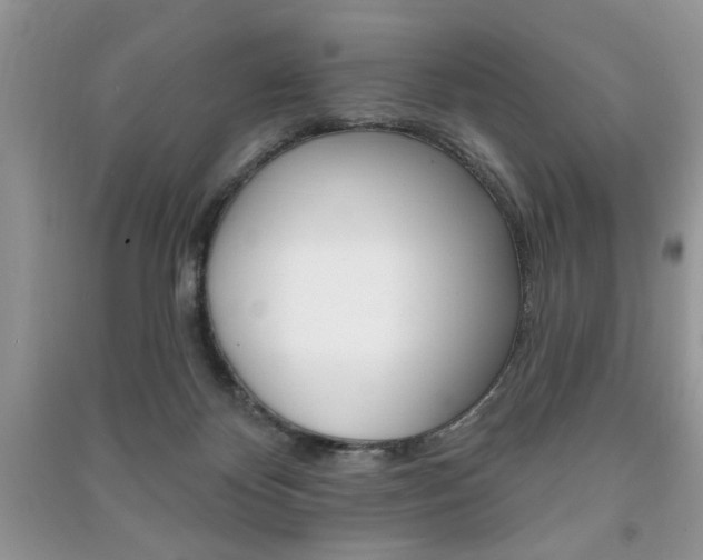 X0000091170124200708091033