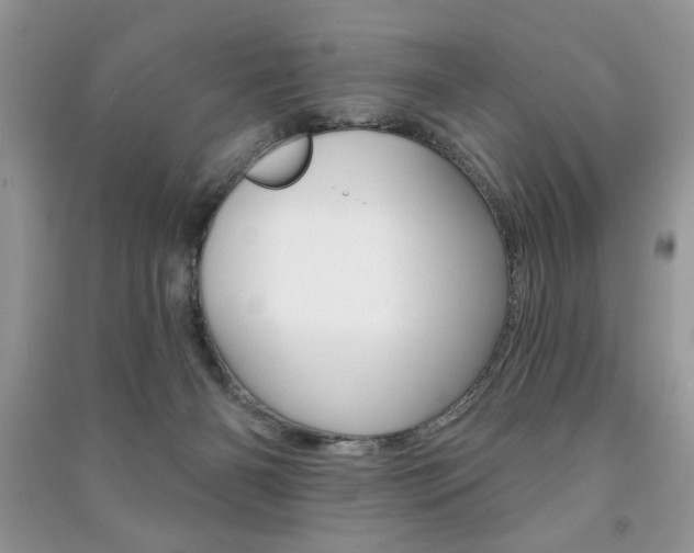 X0000091170126200708091033