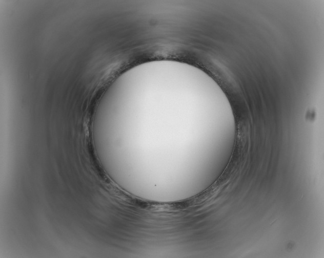 X0000091170127200708091033